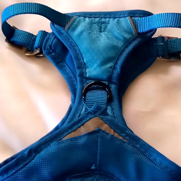 Puppy or small dog halter , safest, most gentle way to leash your little one. - Picture 3 of 4